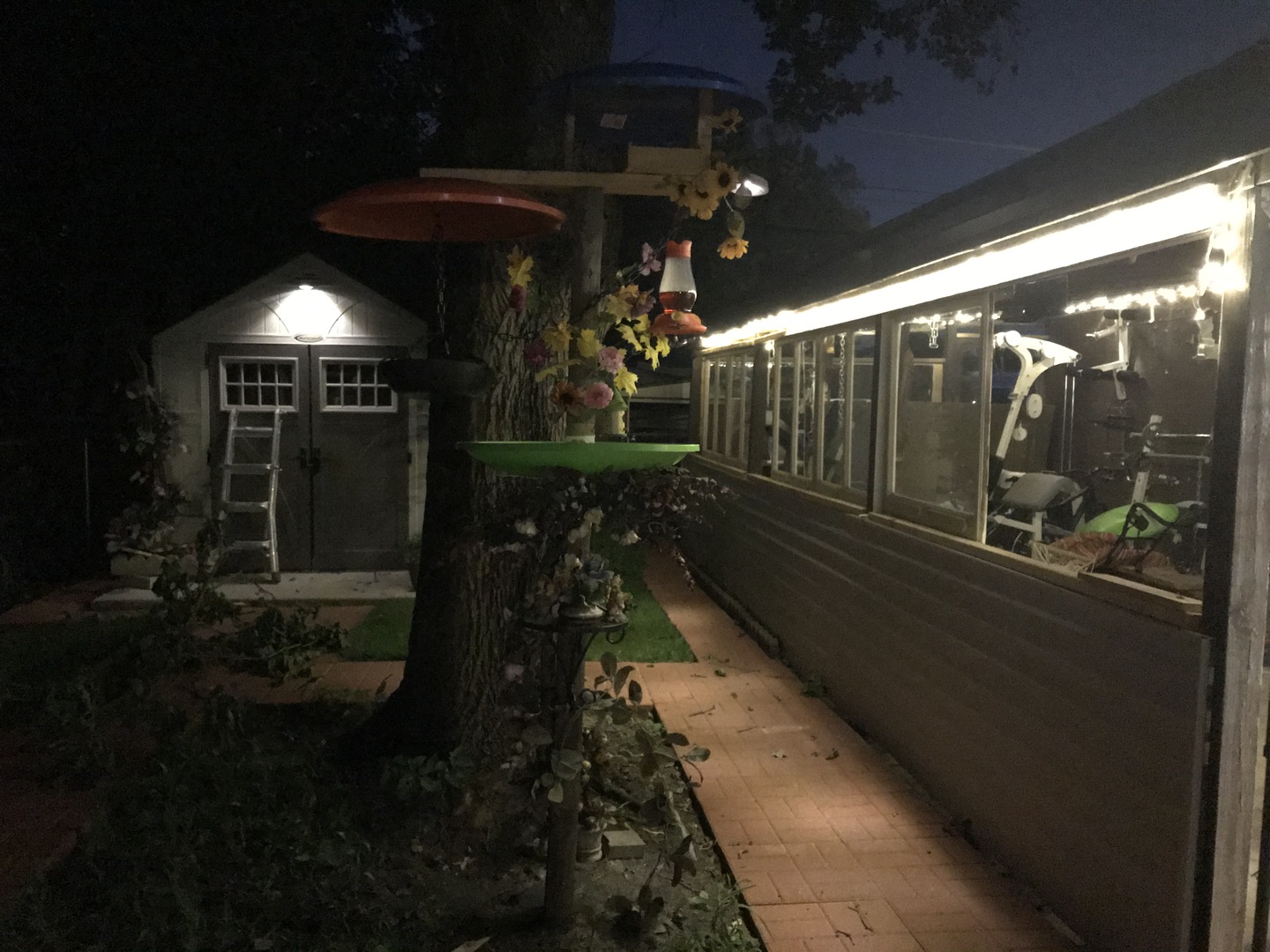 879 Foran Lane Aurora, IL 60506 - Photo 2 of 21