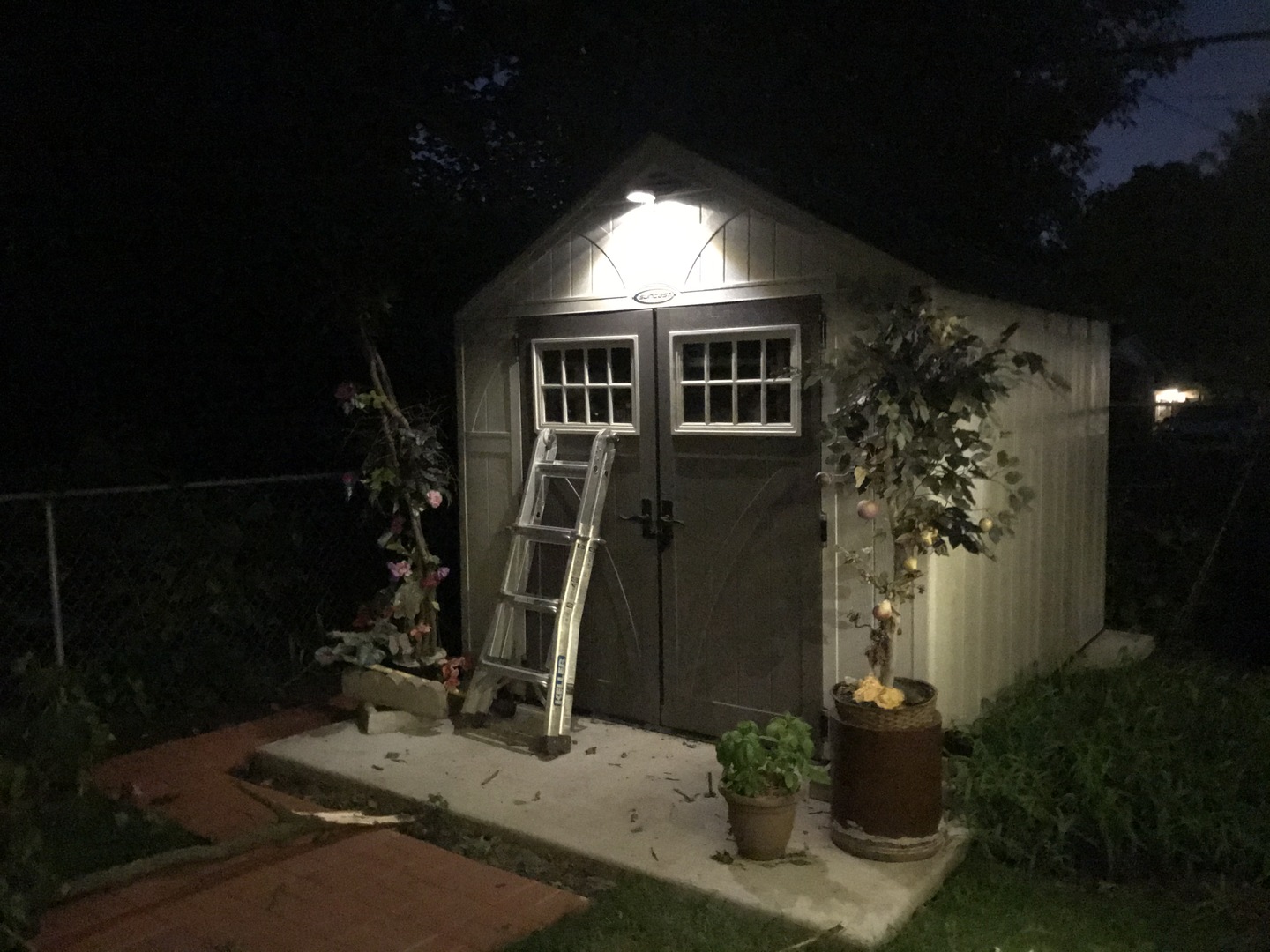 879 Foran Lane Aurora, IL 60506 - Photo 3 of 21