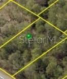 17 Lark Sparrow Road Weeki Wachee, FL 34614 - Photo 1 of 1 Gallery Image 1