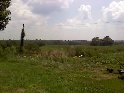 32 Clines Road Science Hill, KY 42553 - Photo 5 of 11 Additional Photo