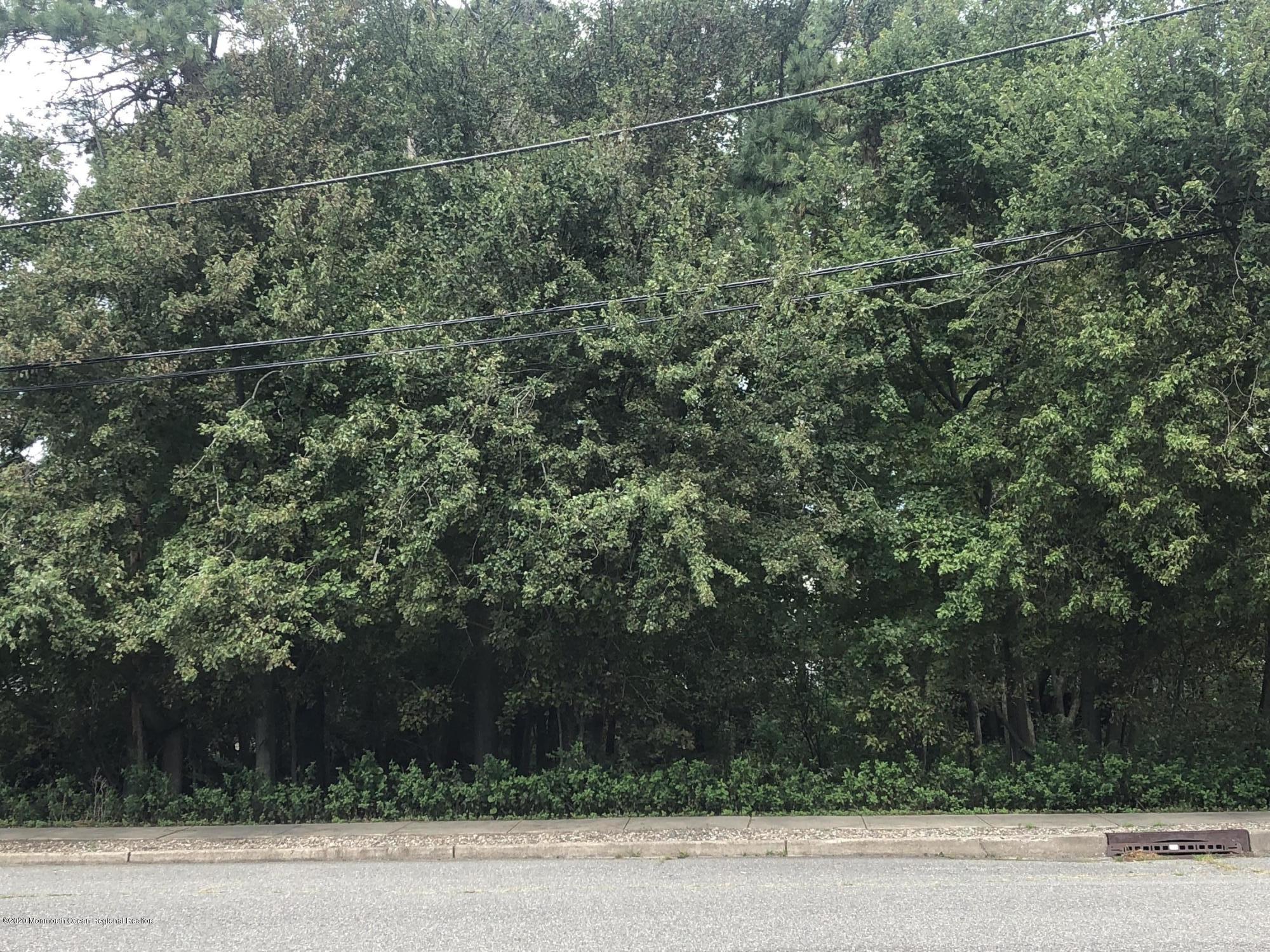 202 Pleasant Drive Brick, NJ 08723 - Photo 46 of 46 a view of a yard