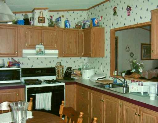 334 Castle Road Washington, PA 15301 - Photo 4 of 8 Kitchen.