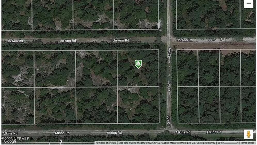 141 Jo Ann Road Georgetown, FL 32139 - Photo 1 of 1 Land