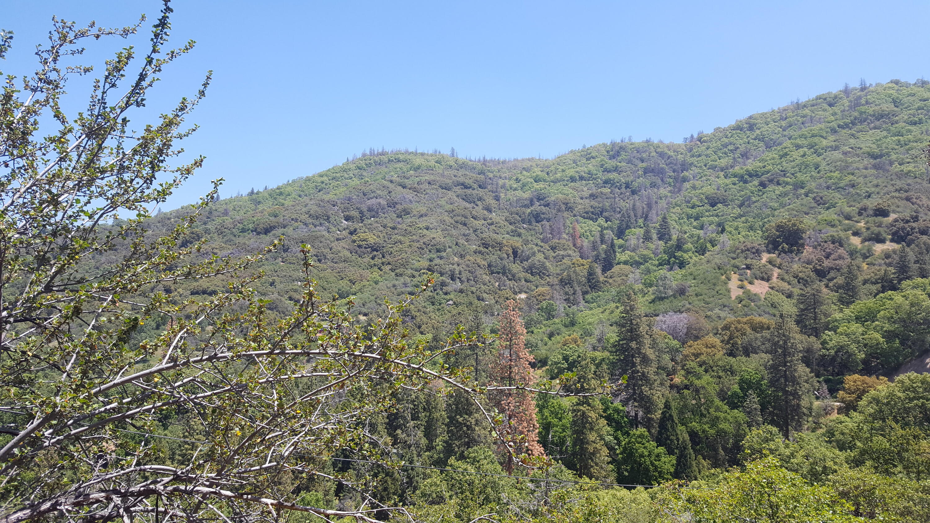 24 Rocking K Drive California Hot Springs, CA 93207 - Photo 6 of 7 20180524_123403