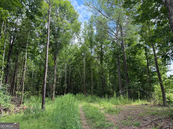 $74,400 | 4 County Rd 445, Haleyville, AL 35565