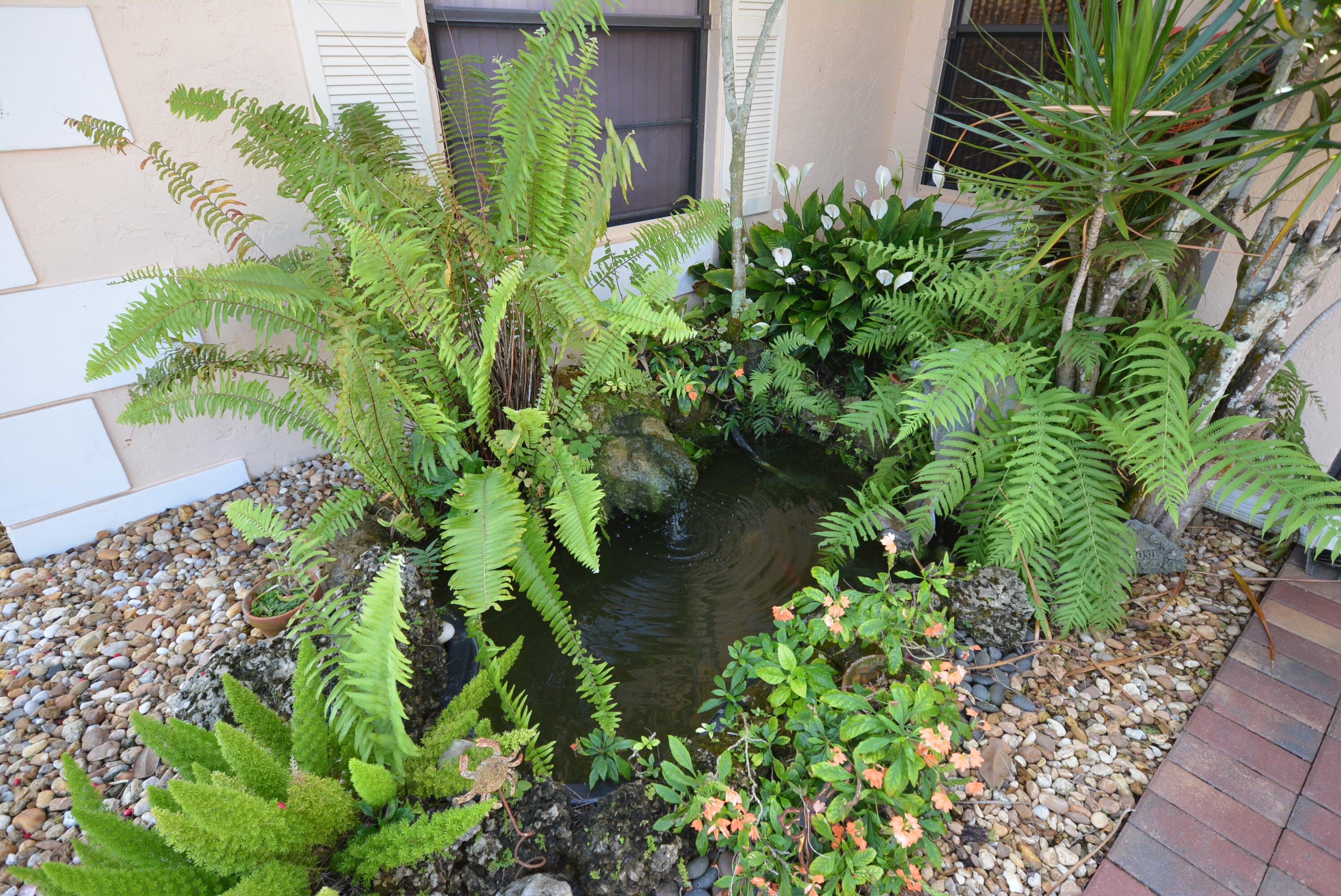 11330 Lake Tree Court Boca Raton, FL 33498 - Photo 4 of 33 koi pond