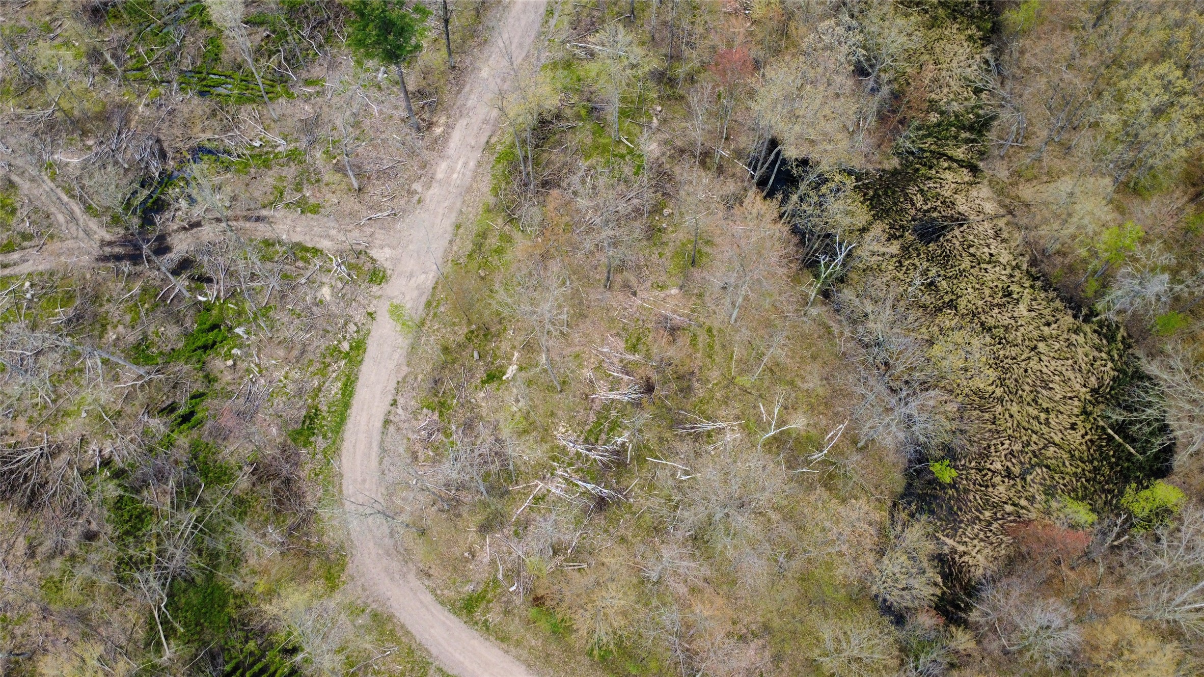 0 Ramer Road Bruce, WI 54819 - Photo 9 of 23