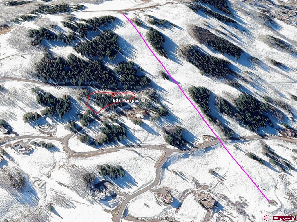 605 Prospect Drive Crested Butte, CO 81225 - Photo 14 of 20 a close up of a plant