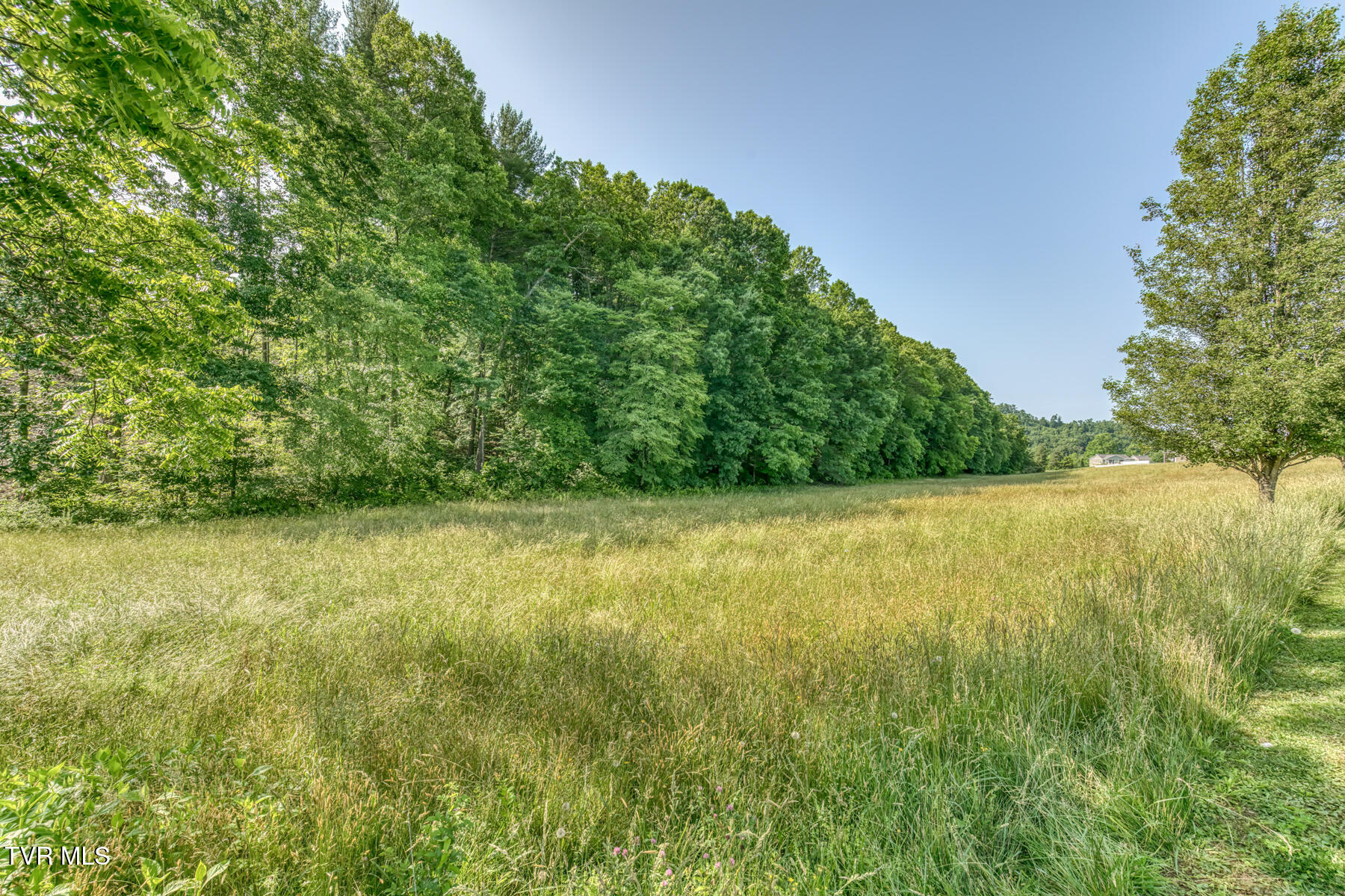 Tbd Cleveland Road Abingdon, VA 24211 - Photo 12 of 14 TBD Cleveland Rd-12