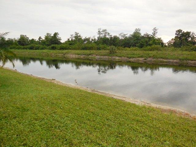 18227 Fresh Lake Way Boca Raton, FL 33498 - Photo 35 of 41 VIEW1