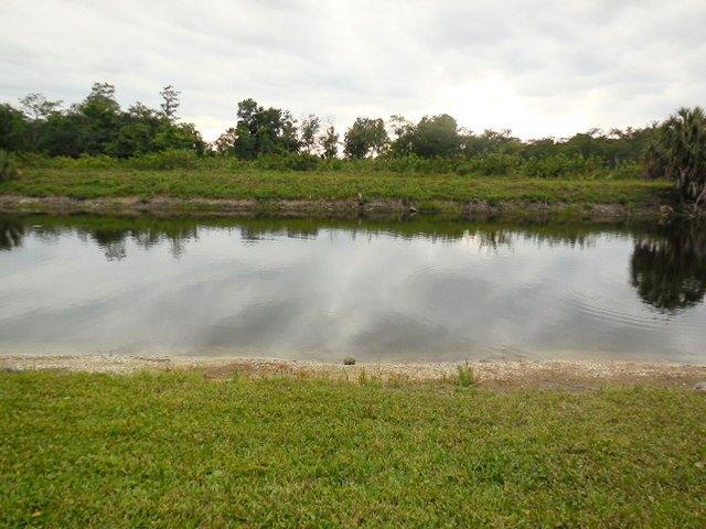 18227 Fresh Lake Way Boca Raton, FL 33498 - Photo 36 of 41 VIEW2