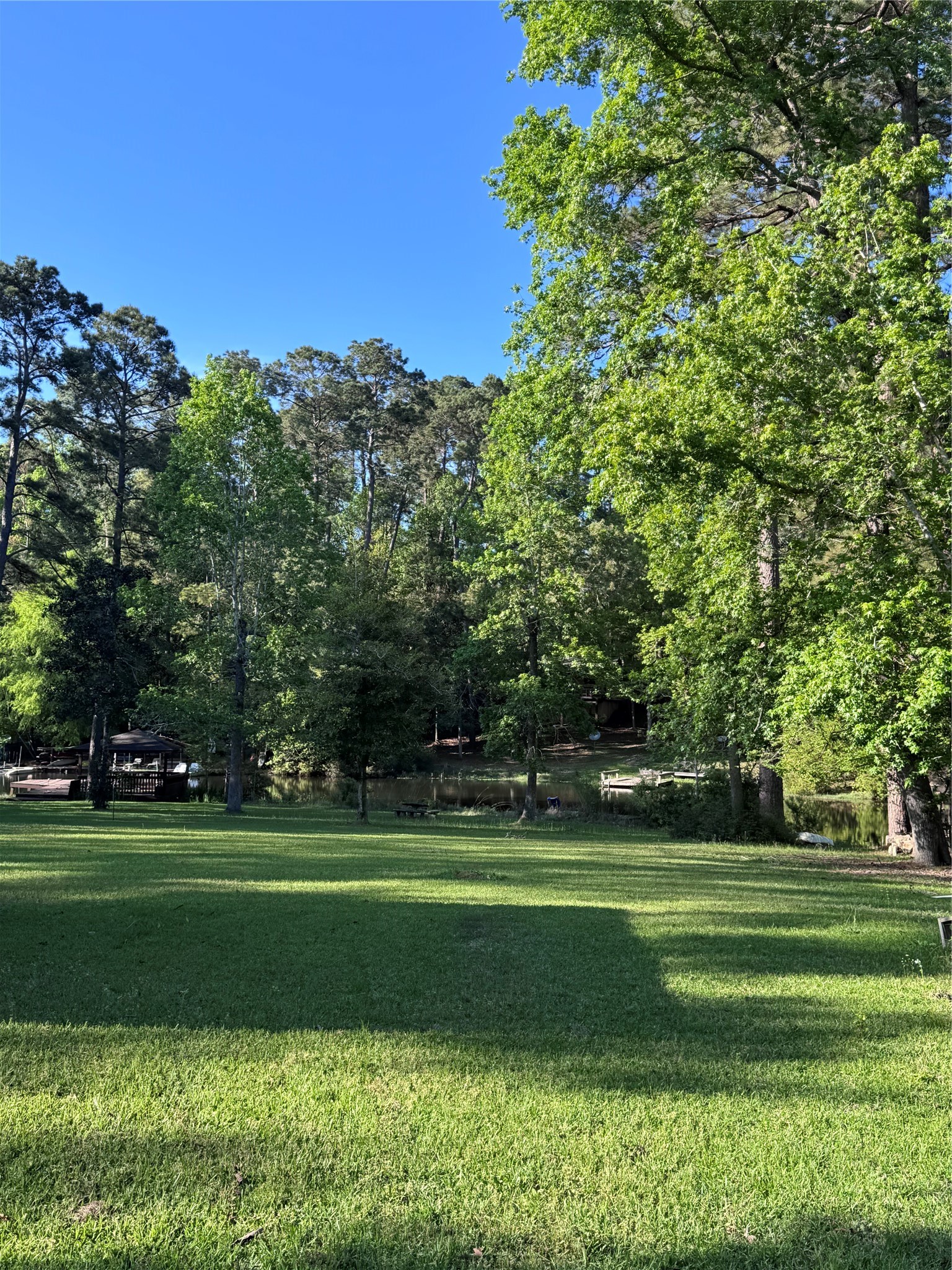 479 County Road Goodrich, TX 77335 - Photo 4 of 13 a view of a park