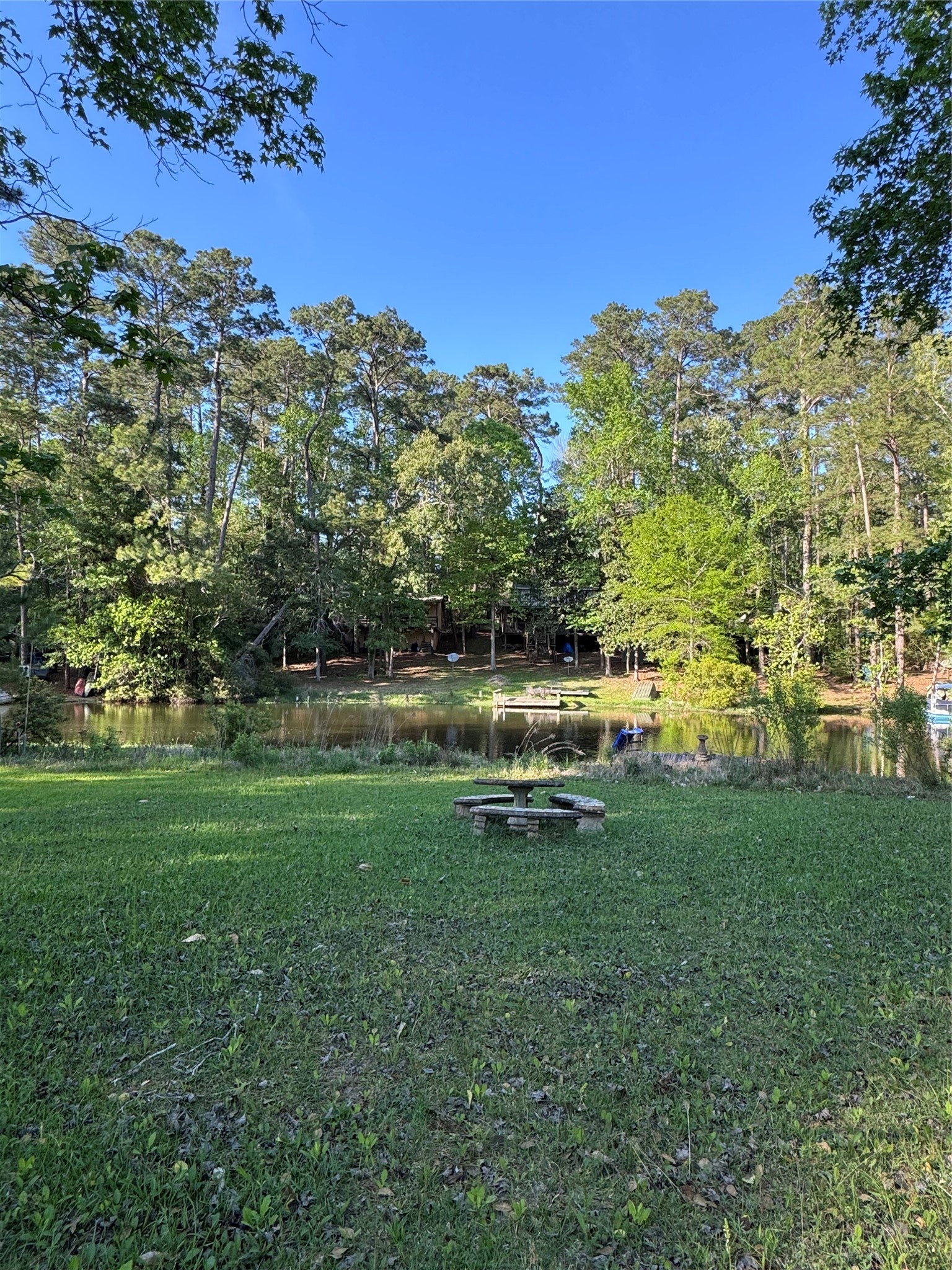 479 County Road Goodrich, TX 77335 - Photo 6 of 13 a view of garden with trees