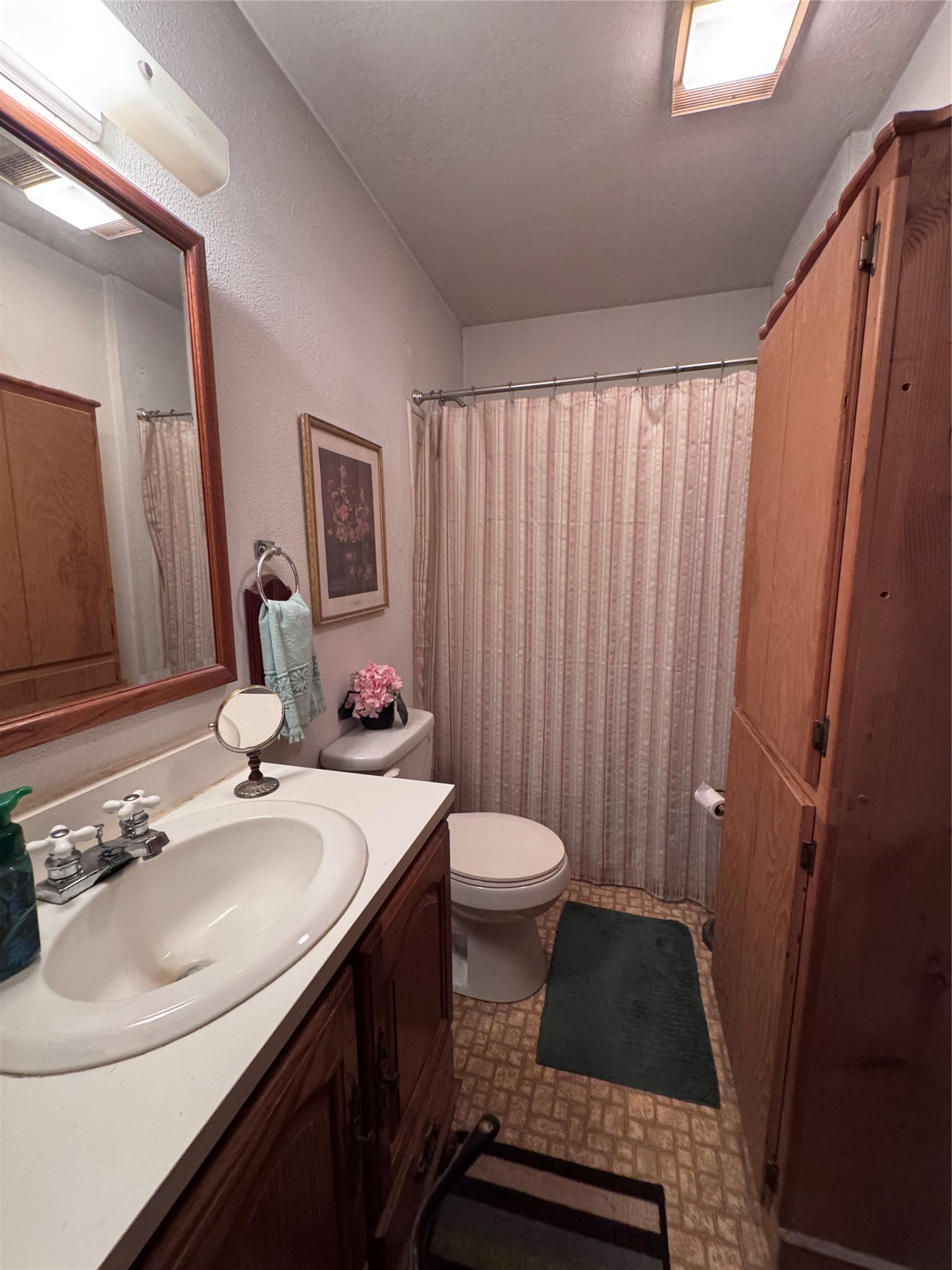 479 County Road Goodrich, TX 77335 - Photo 10 of 13 a bathroom with a sink a toilet a mirror and shower curtain