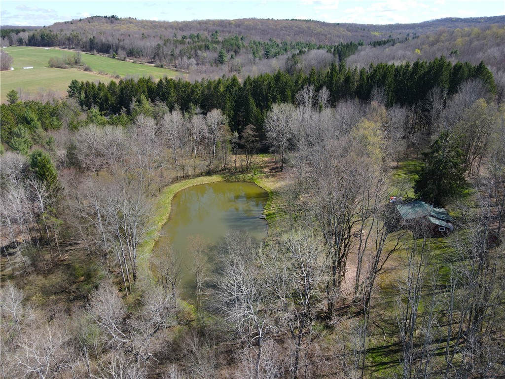 2856 Zimmer Road Scio, NY 14880 - Photo 40 of 50