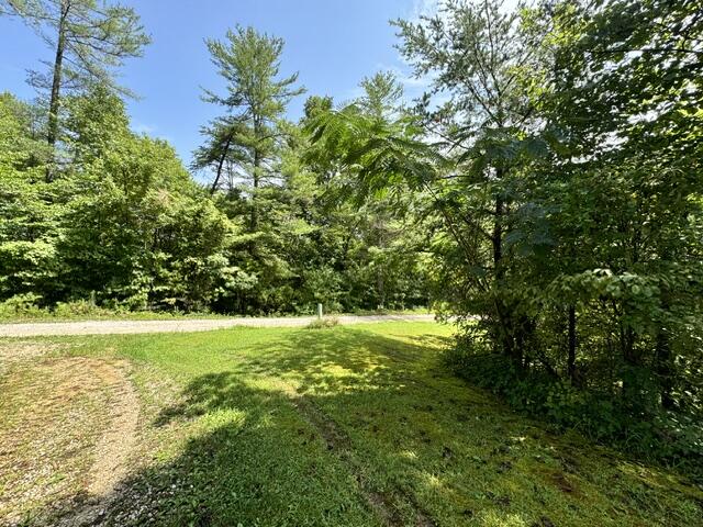 9000 Tar Ridge Road Rogers, KY 41365 - Photo 3 of 15 IMG_0455