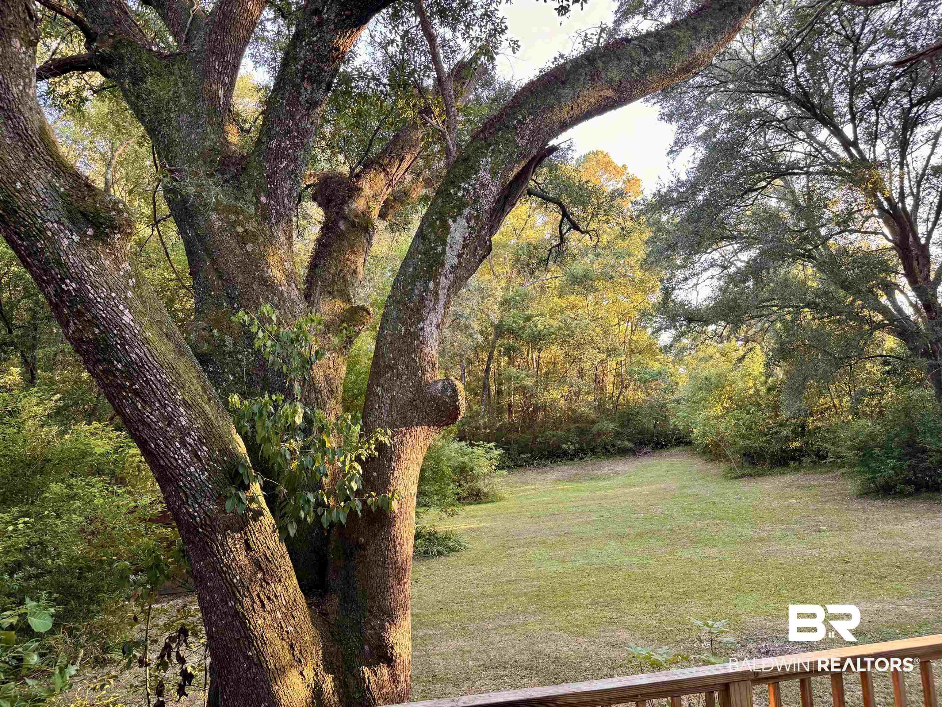 1302 Oak Street Daphne, AL 36526 - Photo 30 of 34 View of grassy yard