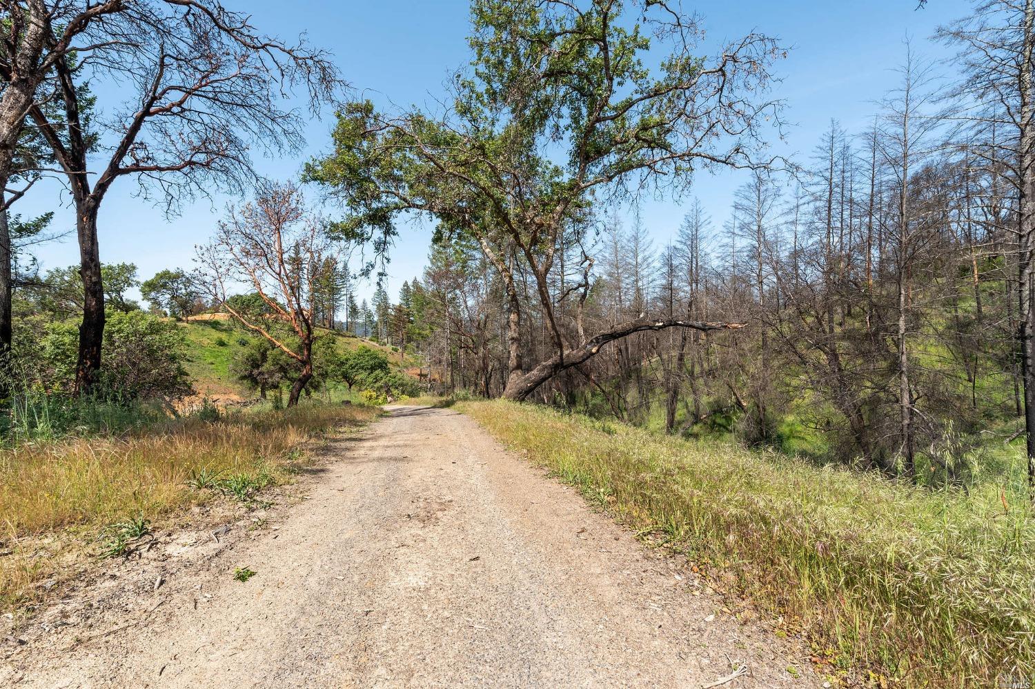 2440 Big Ridge Road Healdsburg, CA 95448 - Photo 15 of 20 a view of backyard with green space