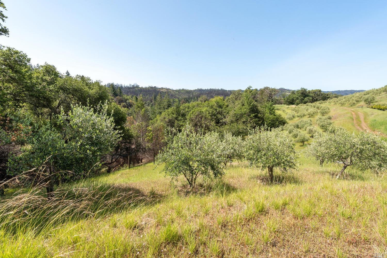 2440 Big Ridge Road Healdsburg, CA 95448 - Photo 7 of 20 a view of a lake with a mountain in the background