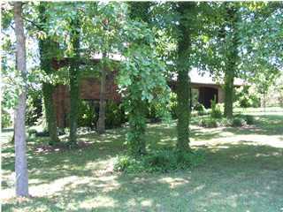 3321 Pleasant Grove Church Road Southwest McDonald, TN 37353 - Photo 1 of 7 Primary Photo