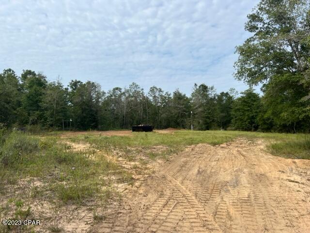 11600 Scott Road Fountain, FL 32438 - Photo 1 of 11 Gallery Image 1