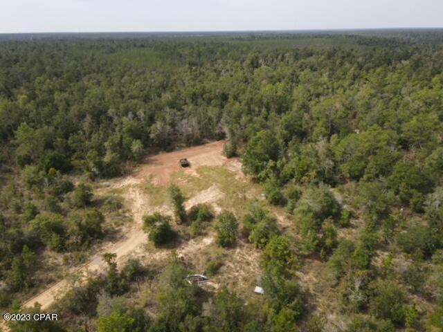 11600 Scott Road Fountain, FL 32438 - Photo 6 of 11 Gallery Image 6