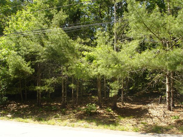 0 Bennett Road Rochester, MA 02770 - Photo 3 of 4