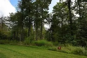 a view of a green field with a tree