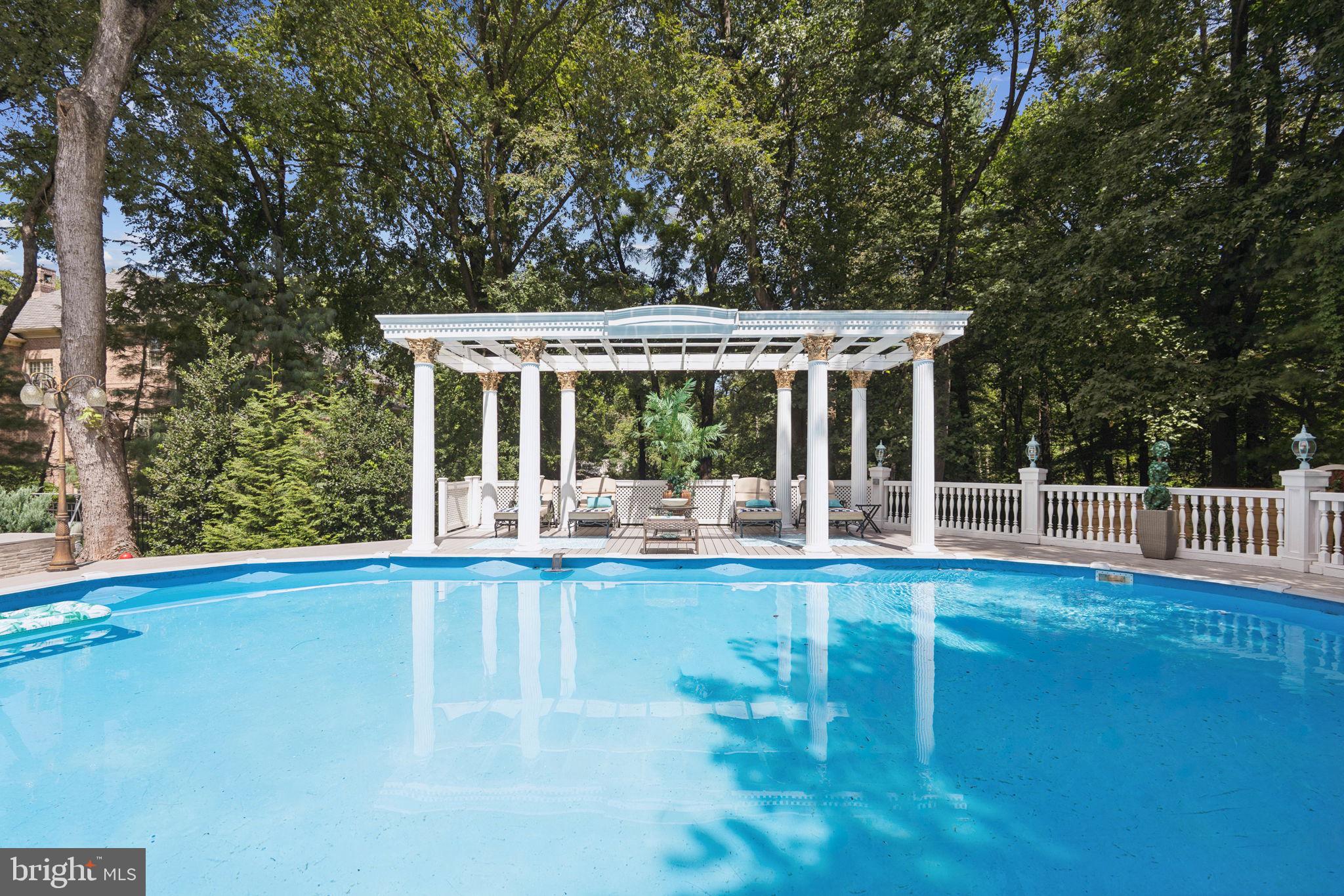 423 Seneca Road Great Falls, VA 22066 - Photo 38 of 54 Pool