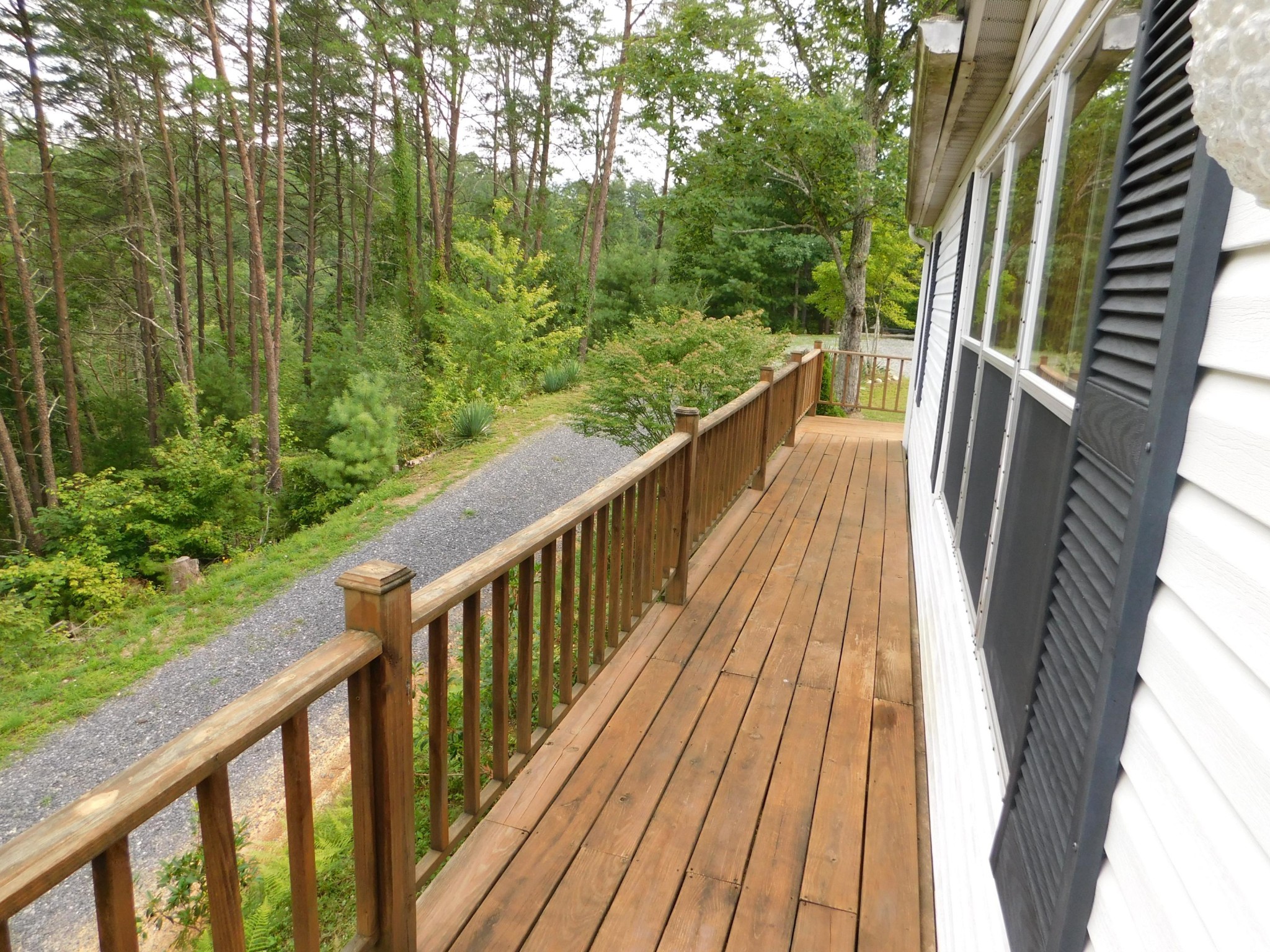 314 Summer House Hollow Road Del Rio, TN 37727 - Photo 2 of 34 Gallery Image 2