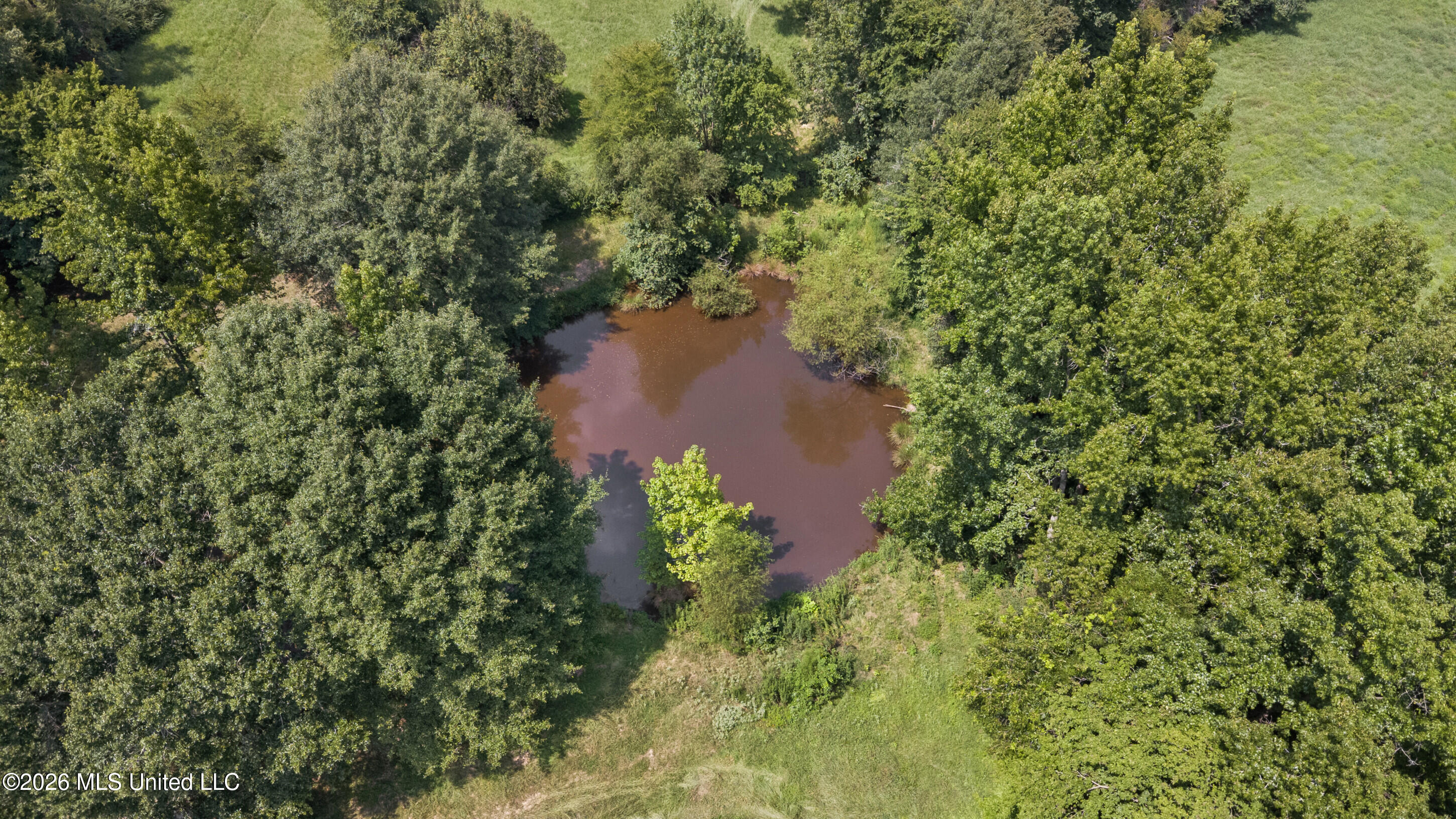 5376 Byhalia Road Hernando, MS 38632 - Photo 12 of 41 Aerial View of Pond