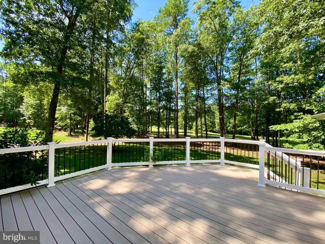 a spacious bedroom with a bed a couch and a potted plant