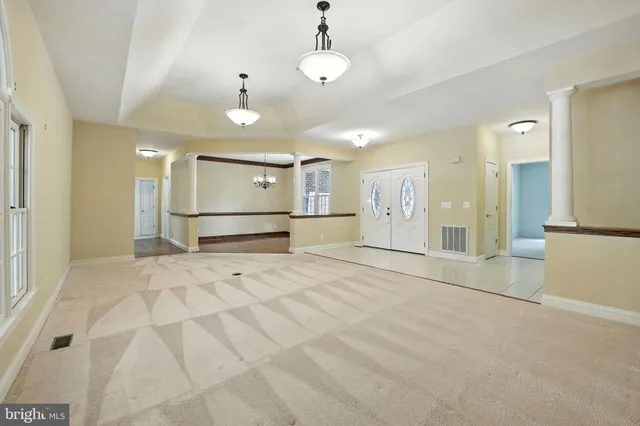 a view of a large space in a yard with potted plants