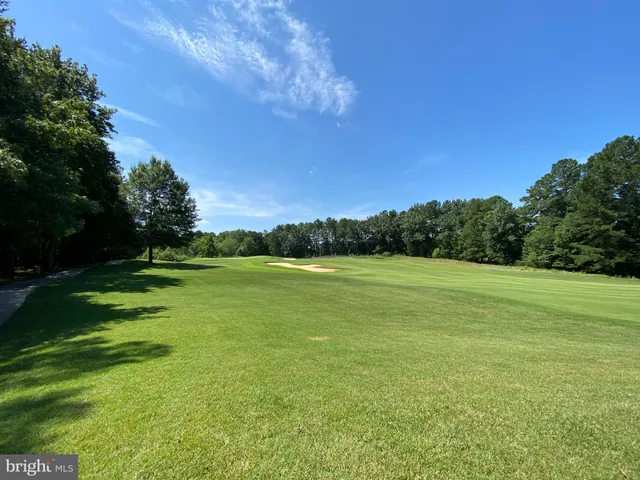a view of a lake with a garden