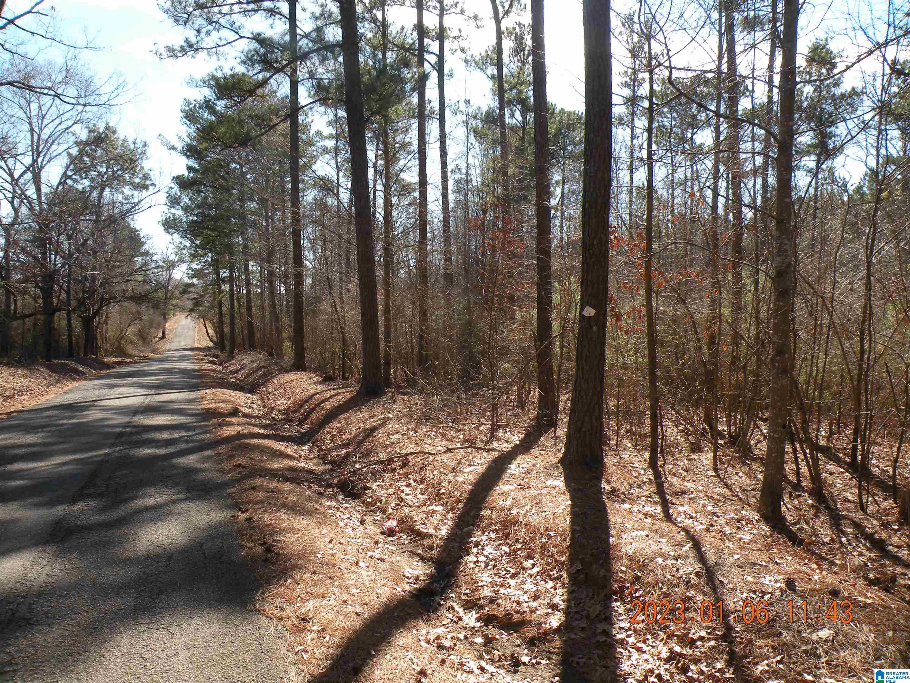 Lays Road, Unit 80 Jasper, AL 35503 - Photo 4 of 4