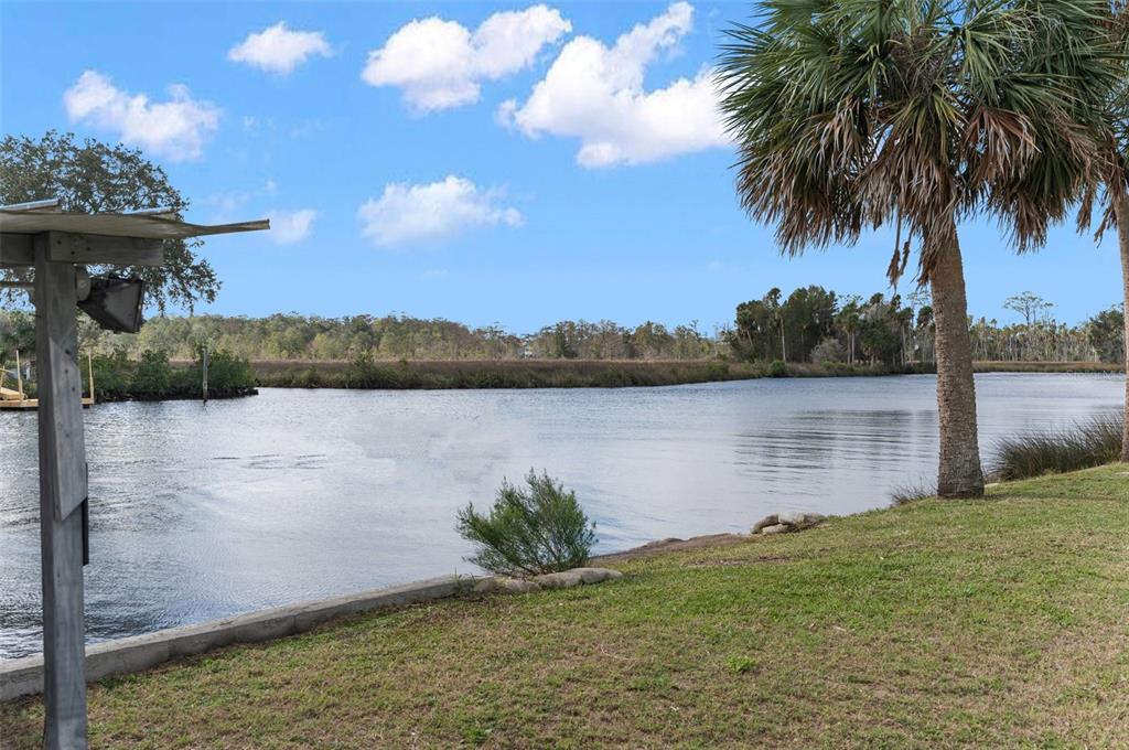 8064 Marys Fish Camp Road Weeki Wachee, FL 34607 - Photo 20 of 62