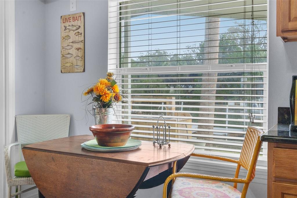 8064 Marys Fish Camp Road Weeki Wachee, FL 34607 - Photo 32 of 62