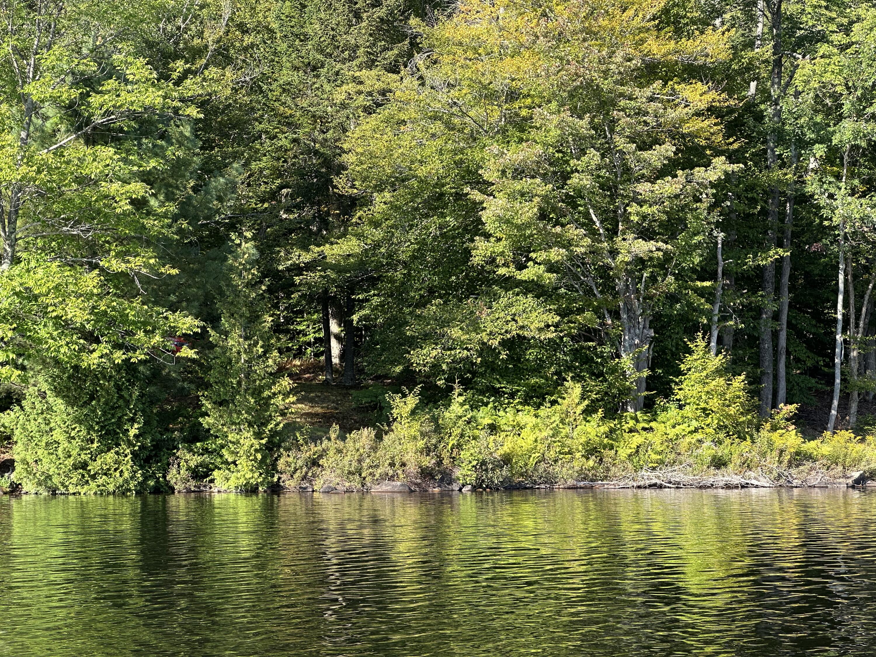 1028 Goodnow Flow Road Newcomb, NY 12852 - Photo 22 of 32 Gallery Image 22