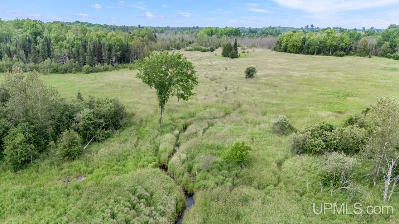 Tbd Tbd Delta Menominee C Road Bark River, MI 49807 - Photo 6 of 13