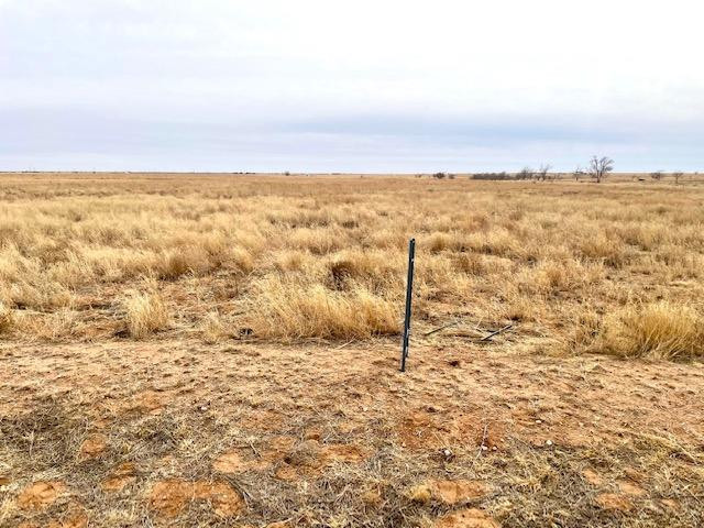0 Main Road Anton, TX 79313 - Photo 1 of 1 Photo 1