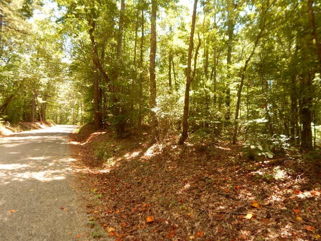 748 Poplar Springs Road Florence, MS 39073 - Photo 1 of 12 Photo 1