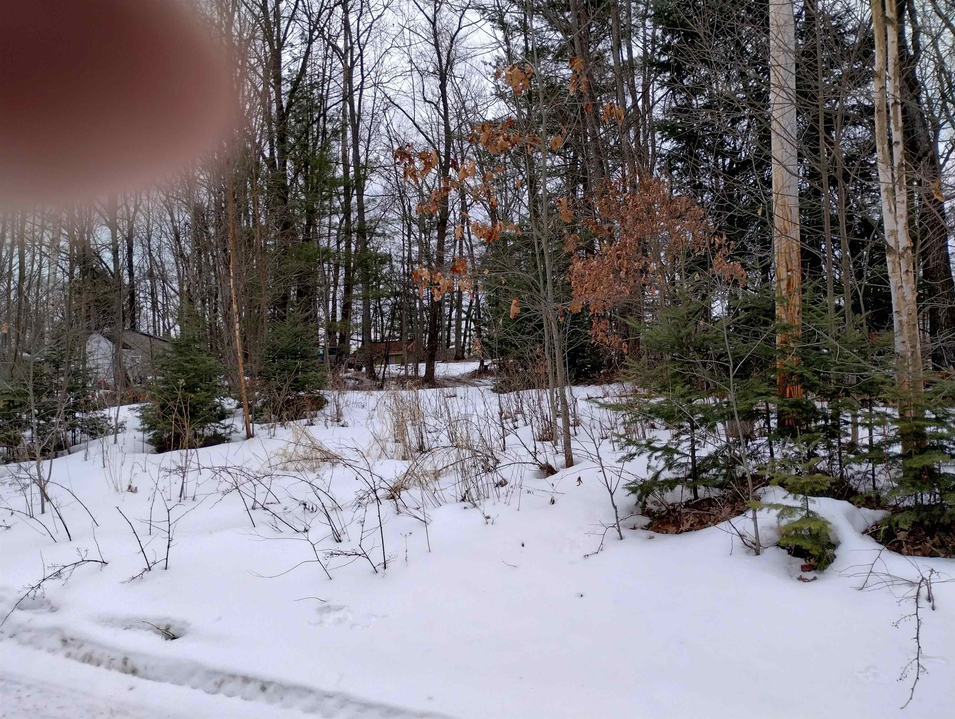 Tbd Tbd Pocahontas Road Harrison, MI 48625 - Photo 1 of 1