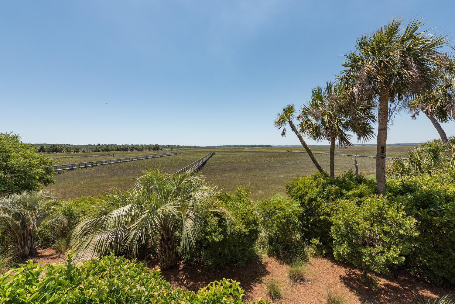 2633 Jenkins Point Road Seabrook Island, SC 29455 - Photo 27 of 67 2633 Jenkins Point_view 1