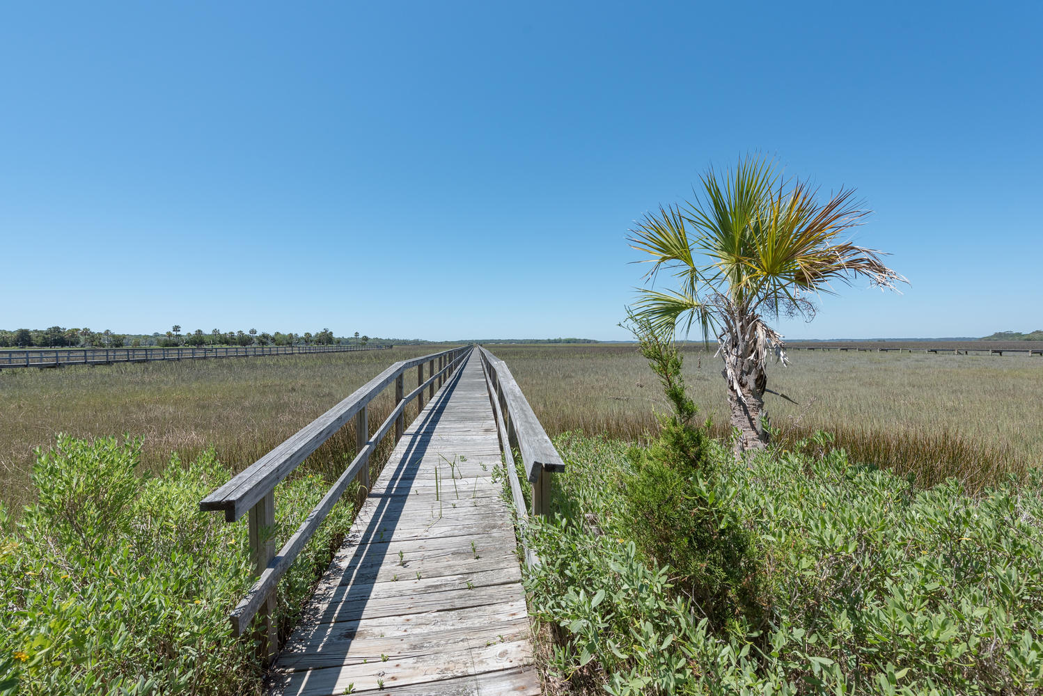 2633 Jenkins Point Road Seabrook Island, SC 29455 - Photo 28 of 67 2633 Jenkins Point_view 2