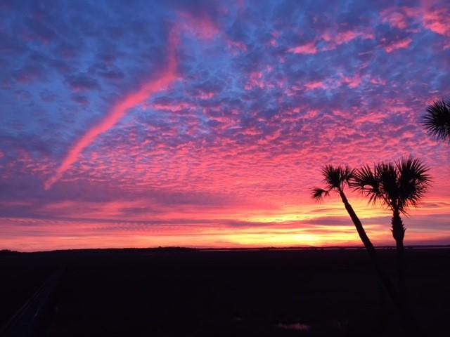 2633 Jenkins Point Road Seabrook Island, SC 29455 - Photo 62 of 67 Sunset Photo 3
