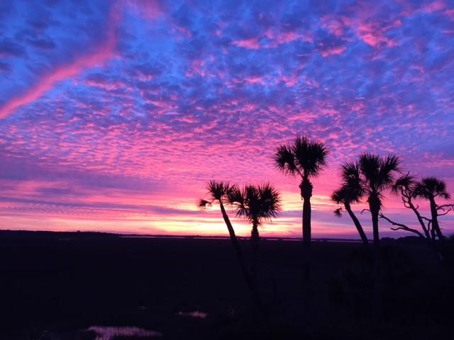 2633 Jenkins Point Road Seabrook Island, SC 29455 - Photo 63 of 67 Sunset Photo 5