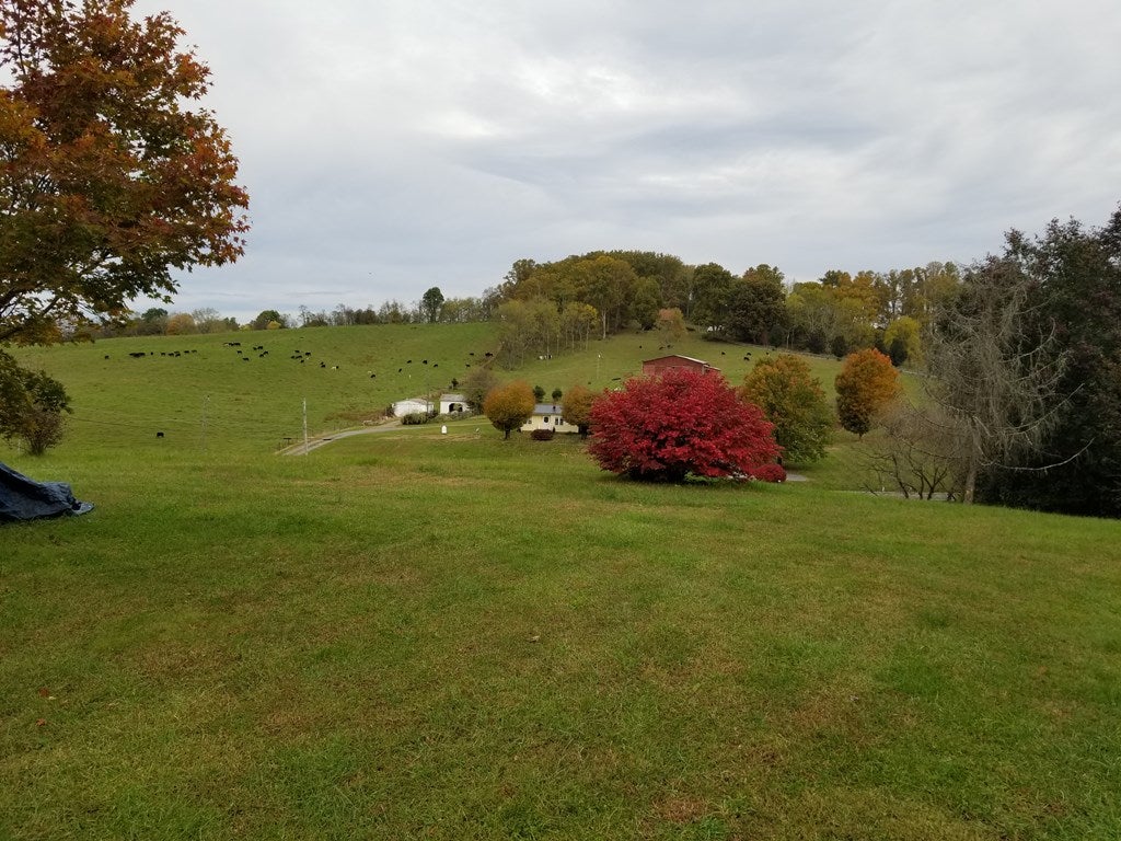 31140 Rhea Valley Road Meadowview, VA 24361 - Photo 2 of 2 Gallery Image 2