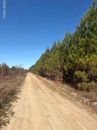 $1,900,000 | Tbd Tbd Orangeburg Road, Estill, SC 29918