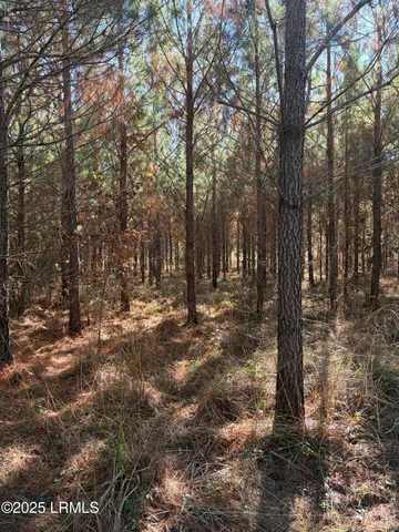 $1,900,000 | Tbd Tbd Orangeburg Road, Estill, SC 29918