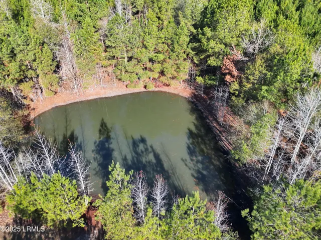 $1,900,000 | Tbd Tbd Orangeburg Road, Estill, SC 29918